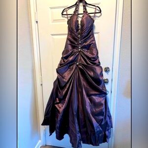 Metallic Purple Beaded Dress (great for a costume)